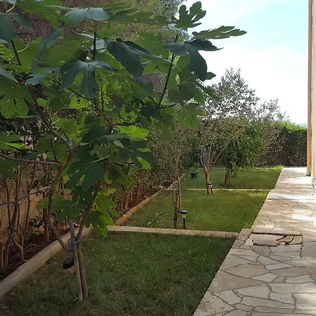 Marica Amazing View 자다르