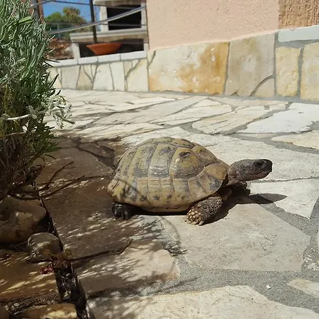 아파트 Marica Amazing View *