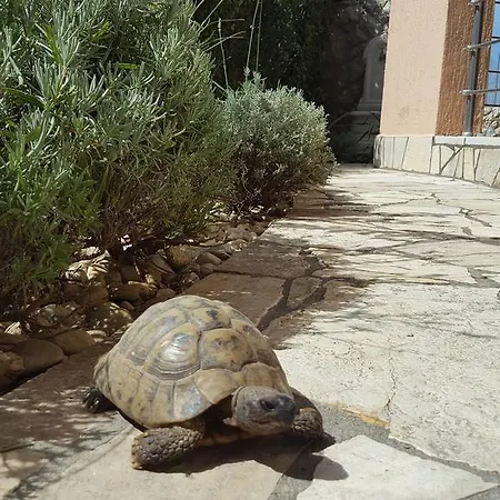 Marica Amazing View Appartement *